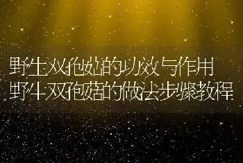 野生双孢菇的功效与作用 野生双孢菇的做法步骤教程