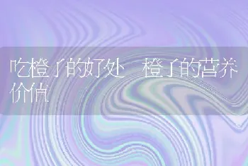 吃橙子的好处 橙子的营养价值