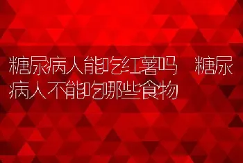 糖尿病人能吃红薯吗 糖尿病人不能吃哪些食物