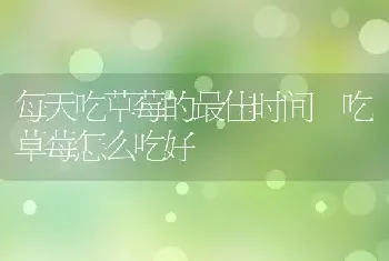 珍珠粉怎么吃效果最好 珍珠粉口服怎么吃法