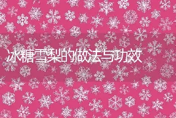 冰糖雪梨的做法与功效