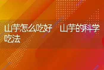 地参适合什么人吃 地参的吃法大全