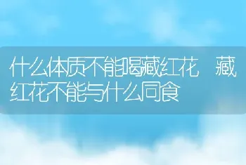 什么体质不能喝藏红花 藏红花不能与什么同食