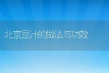 北京豆汁的做法与功效