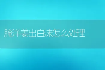 腌洋姜出白沫怎么处理