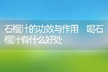 石榴汁的功效与作用 喝石榴汁有什么好处