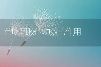 常吃阿胶的功效与作用