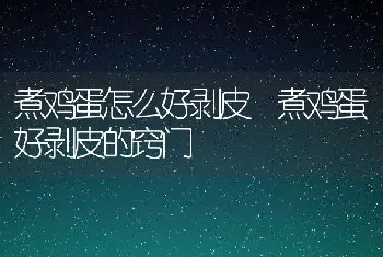 煮鸡蛋怎么好剥皮 煮鸡蛋好剥皮的窍门