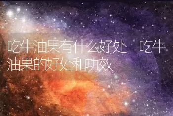 吃牛油果有什么好处 吃牛油果的好处和功效