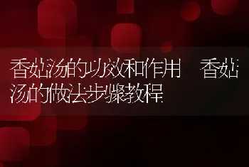 香菇汤的功效和作用 香菇汤的做法步骤教程