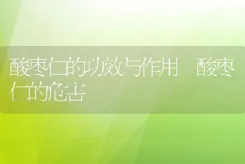 酸枣仁的功效与作用 酸枣仁的危害