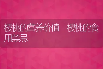 樱桃的营养价值 樱桃的食用禁忌