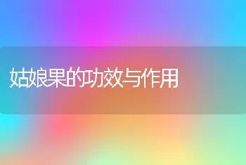 姑娘果的功效与作用