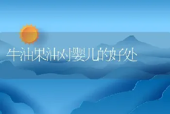 牛油果油对婴儿的好处