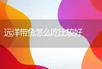 远洋带鱼怎么吃比较好