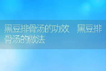 黑豆排骨汤的功效 黑豆排骨汤的做法