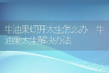 牛油果切开太生怎么办 牛油果太生解决办法