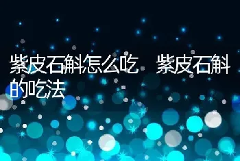 紫皮石斛怎么吃 紫皮石斛的吃法