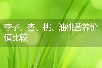 李子、杏、桃、油桃营养价值比较