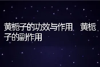 黄栀子的功效与作用 黄栀子的副作用