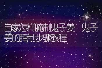 自家怎样腌制鬼子姜 鬼子姜的腌制步骤教程