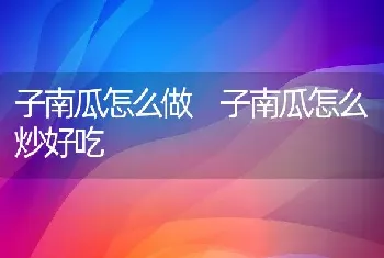 子南瓜怎么做 子南瓜怎么炒好吃