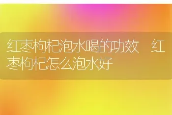 红枣枸杞泡水喝的功效 红枣枸杞怎么泡水好