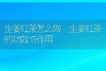 生姜红茶怎么做 生姜红茶的功效与作用