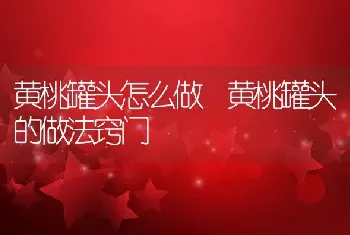 黄桃罐头怎么做 黄桃罐头的做法窍门