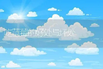 吃蓝莓的好处与坏处