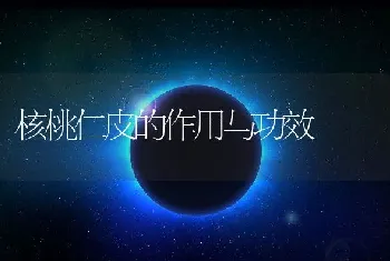 核桃仁皮的作用与功效