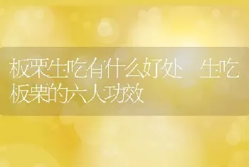 板栗生吃有什么好处 生吃板栗的六大功效