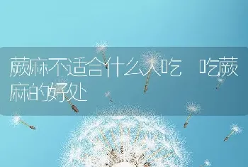 蕨麻不适合什么人吃 吃蕨麻的好处