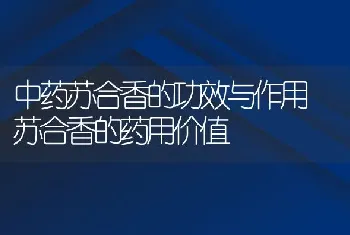 中药苏合香的功效与作用 苏合香的药用价值