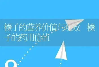 榛子的营养价值与功效 榛子的药用价值