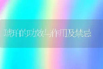 琥珀的功效与作用及禁忌