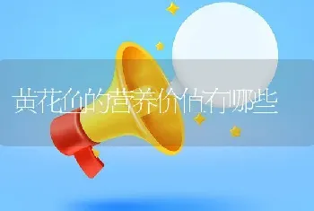 黄花鱼的营养价值有哪些