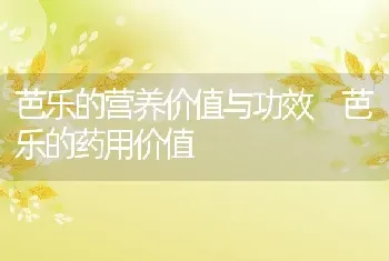 芭乐的营养价值与功效 芭乐的药用价值