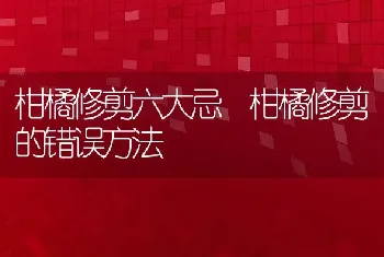 柑橘修剪六大忌 柑橘修剪的错误方法