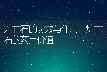 炉甘石的功效与作用 炉甘石的药用价值