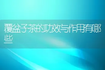 覆盆子茶的功效与作用有哪些