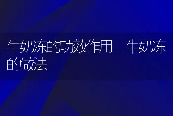 牛奶冻的功效作用 牛奶冻的做法