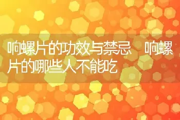 响螺片的功效与禁忌 响螺片的哪些人不能吃