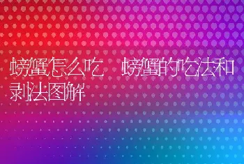 螃蟹怎么吃 螃蟹的吃法和剥法图解