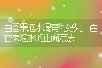 百香果泡水喝有何好处 百香果泡水的正确方法