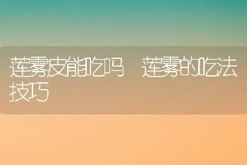 莲雾皮能吃吗 莲雾的吃法技巧