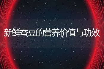 新鲜蚕豆的营养价值与功效