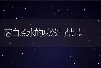 葱白煮水的功效与禁忌