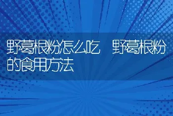 野葛根粉怎么吃 野葛根粉的食用方法