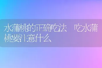 水蒲桃的正确吃法 吃水蒲桃要注意什么